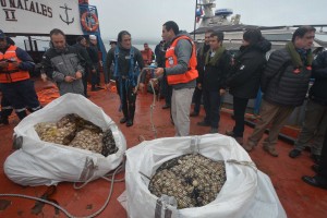 apiao 5